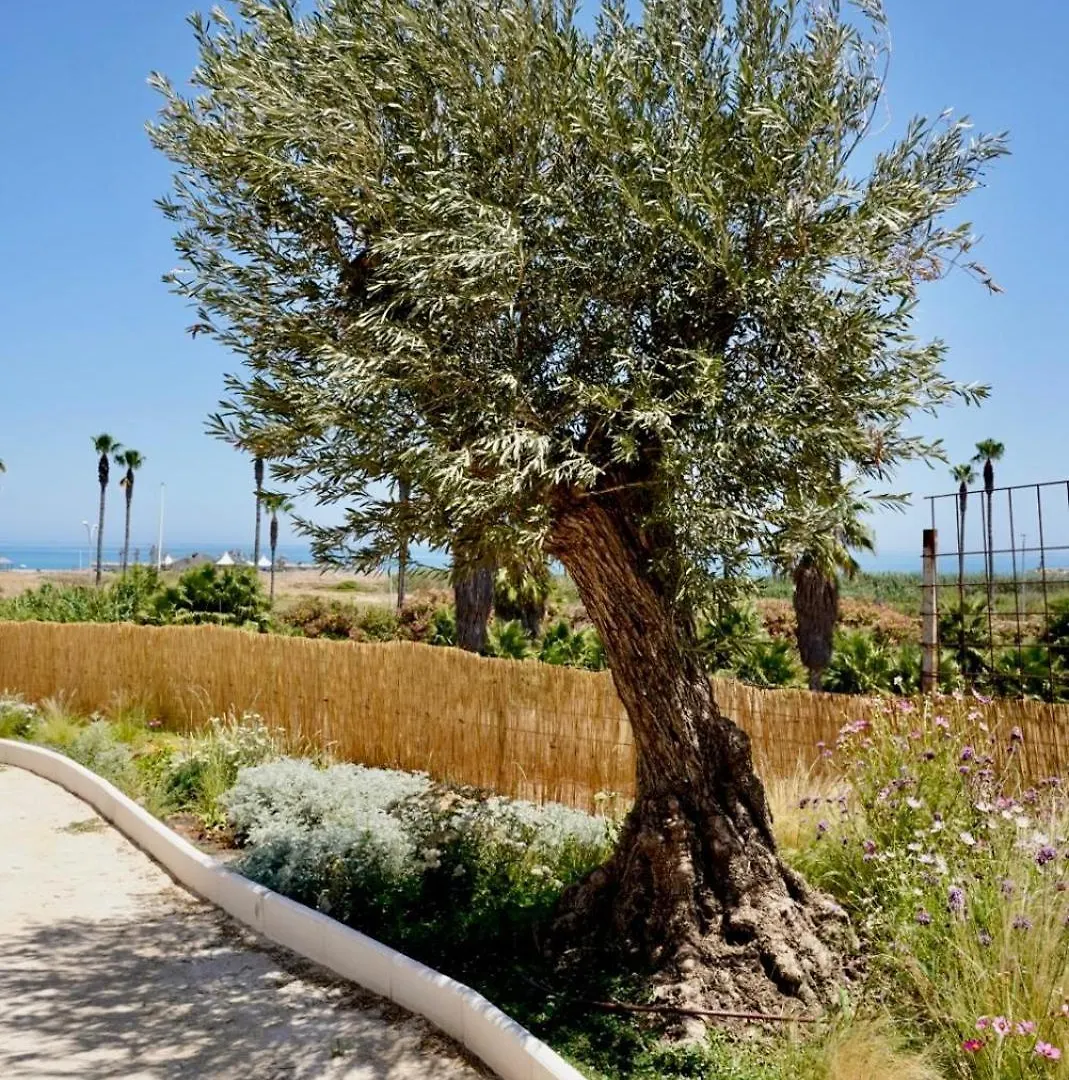 Templo Sotogrande Apartment